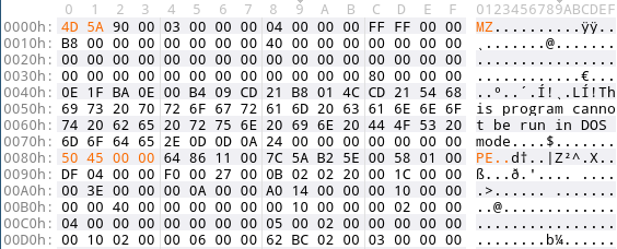 Regular PE header with magic numbers (MZ + PE) highlighted.