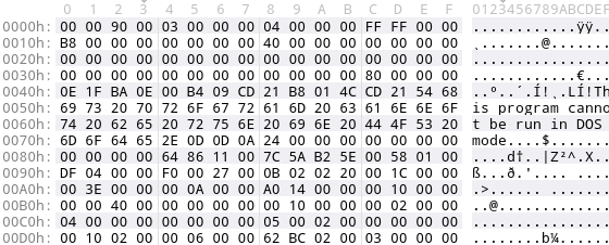 PE header with overwritten magic numbers.